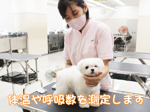 検査実習と身体検査！